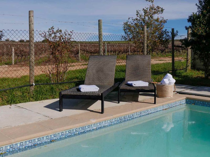 A private swimming pool area featuring a concrete deck and chain link fencing, overlooking an adjacent vineyard landscape.