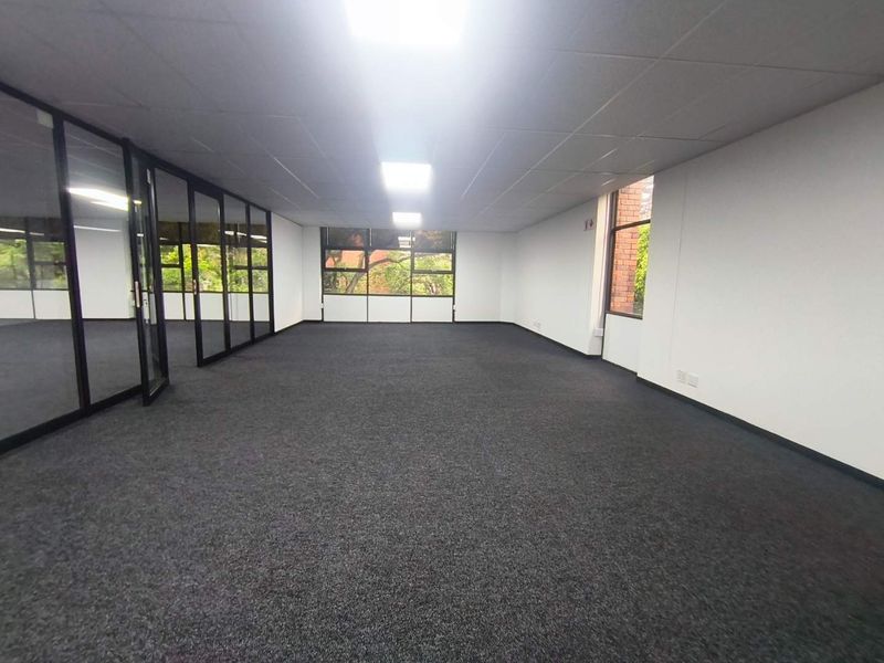 A spacious, empty office area featuring carpeted flooring, a suspended ceiling with recessed lighting, and glass partition walls providing a bright, professional workspace.