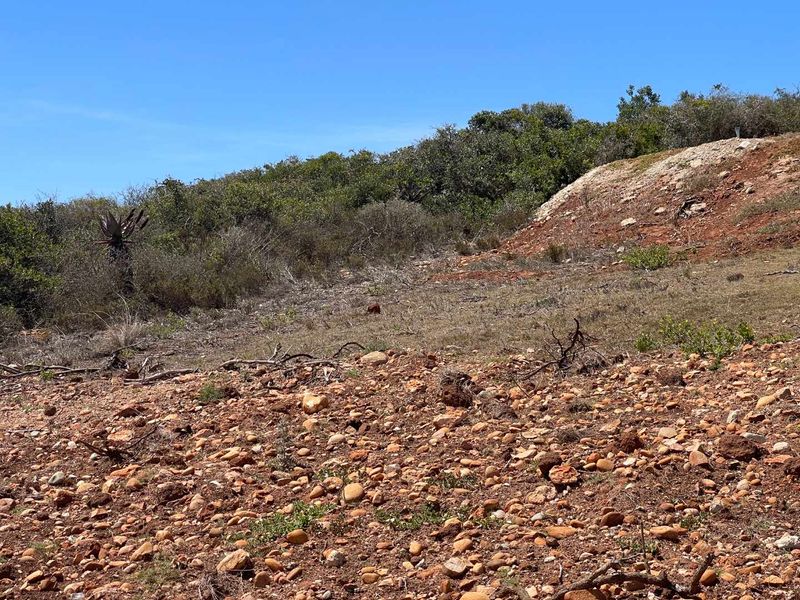 625m2 Vacant Stand For Sale in Hartland Lifestyle Estate - Exclusive Opportunity - Photo 6