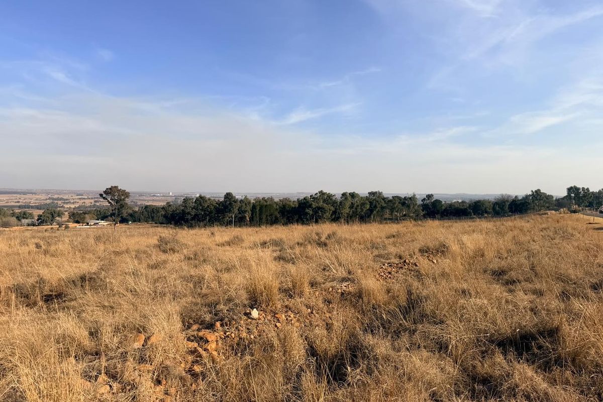 A wide-angle view of the vacant residential land featuring natural dry grassland and a distant tree line under a clear blue sky.