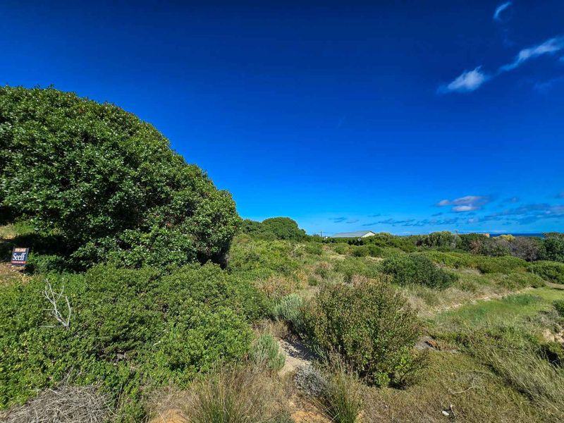 Prime vacant stand with permanent unobstructed views - Photo 10