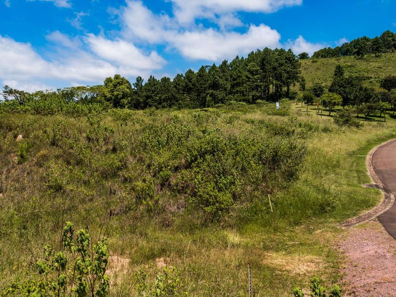 A view of a vacant residential plot featuring sloped terrain, natural vegetation, and adjacent paved road access.