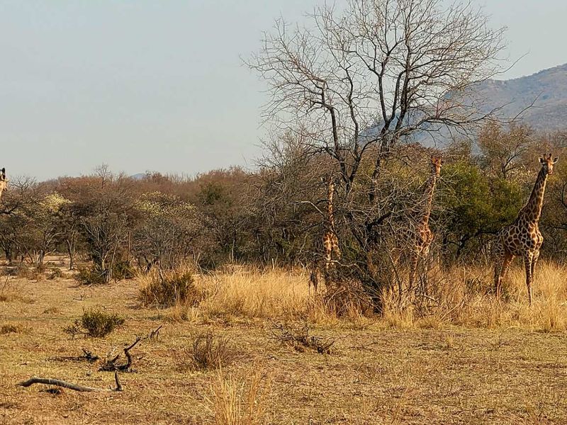 STAND IN TRANQUIL  AREA - Photo 2