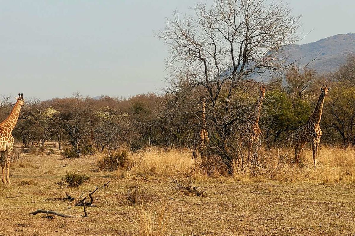 STAND IN TRANQUIL  AREA - Photo 2