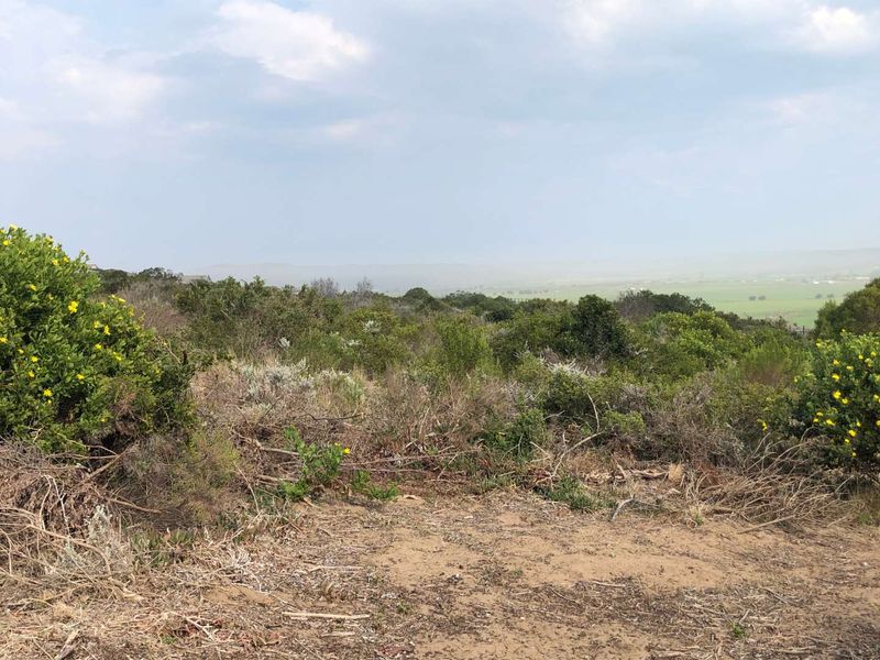 Nature Lover's Haven: Private Reserve & Wildlife at Your Doorstep - Photo 9