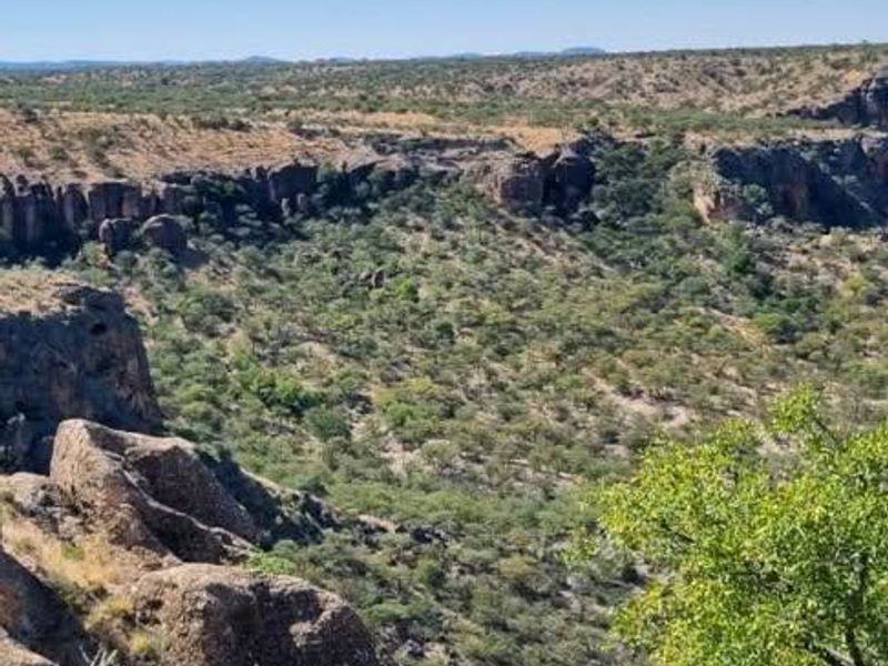 Escape to nature with this incredible 2500Ha farm — the perfect investment for a lodge. - Photo 9