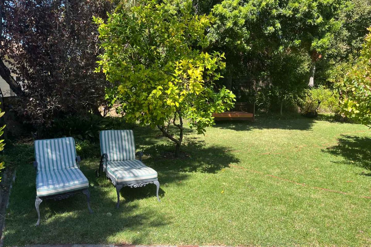 HIDDEN GEM IN THE HEART OF CLAREMONT - Photo 5