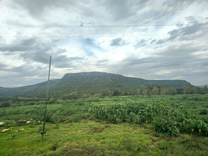 Unmatched Opportunity: Farm & Bottling Biz in One - Photo 7