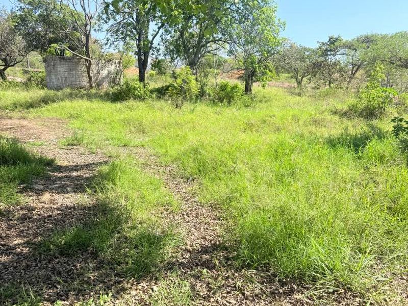 A view of a vacant residential plot featuring mature trees, natural grassland, and a partial concrete block boundary wall.