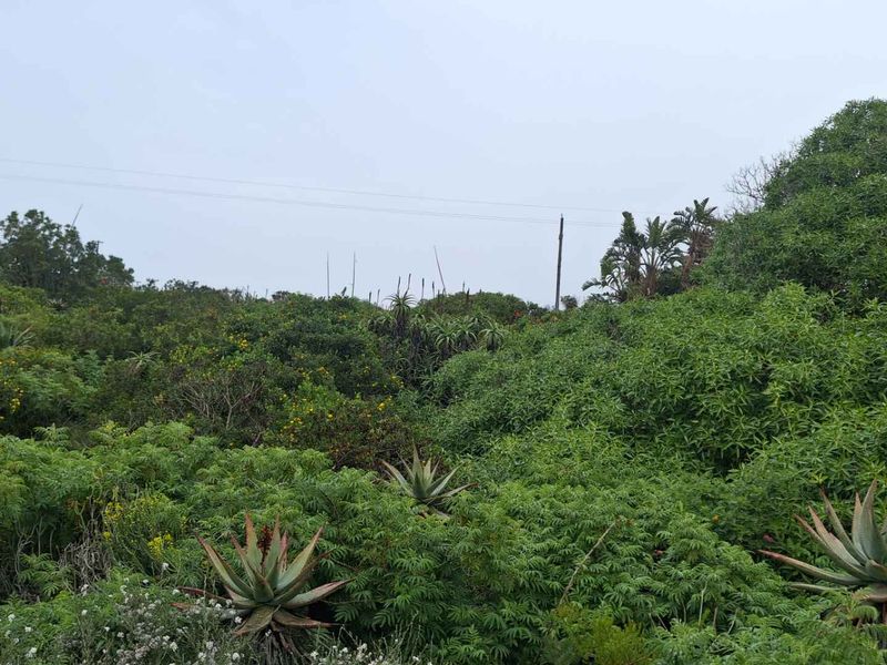Well-situated stand in prestigious Vleesbaai - Photo 7