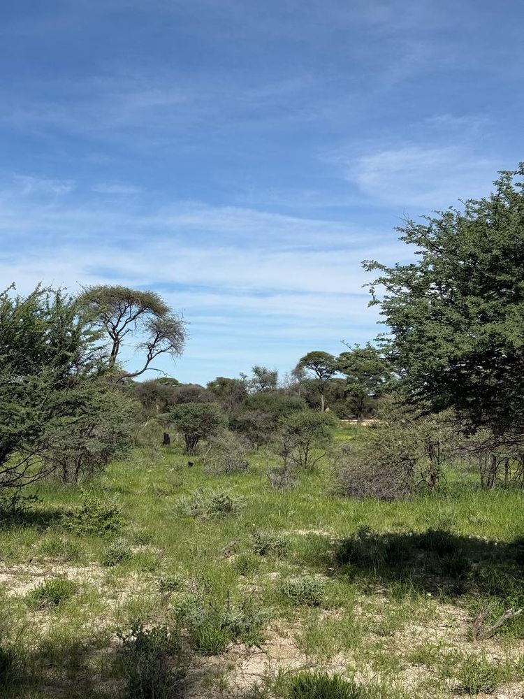 View of the field on the Farm