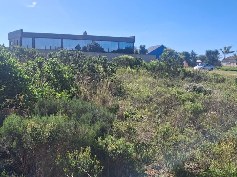 A view of a vacant residential plot covered in indigenous vegetation, situated in a developed neighborhood.
