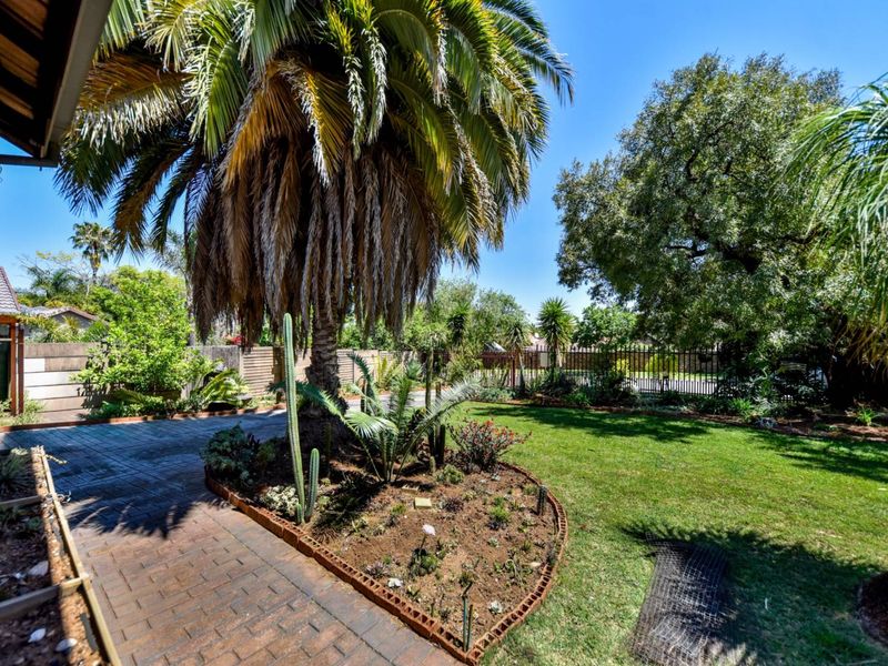 A well-maintained garden featuring a paved walkway, mature palm tree, established landscaping, and secure metal perimeter fencing.