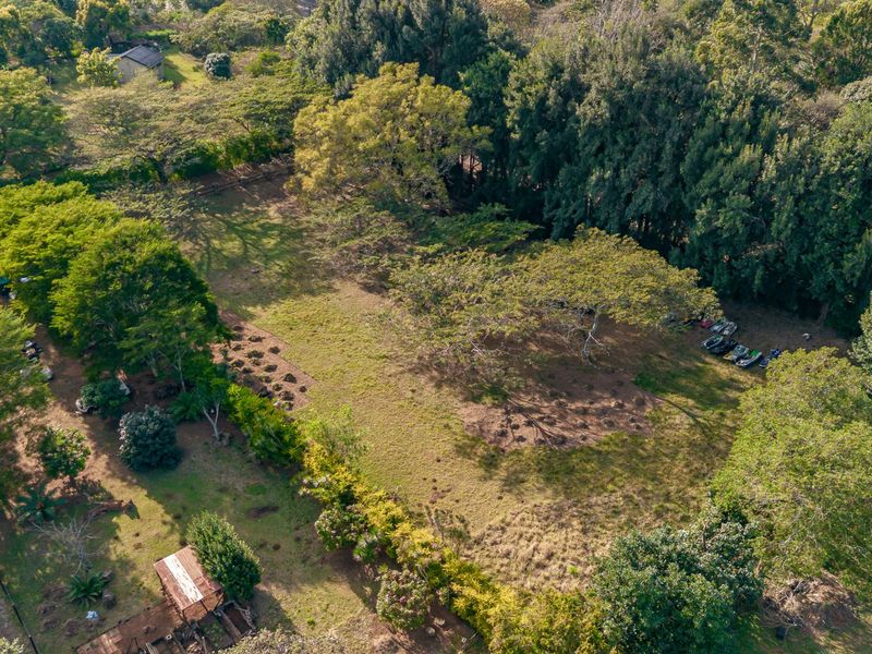 The Perfect piece of land - Photo 7