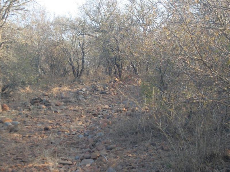 Alluring riverfront stand for sale. - Photo 10