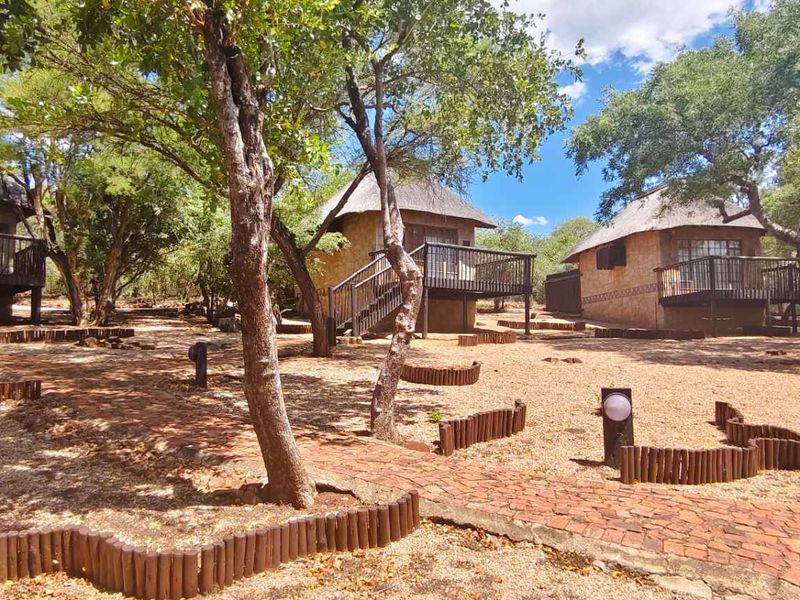 A landscaped garden area featuring multiple detached units with thatch roofs, raised timber decks, and brick paved pathways winding through mature trees.