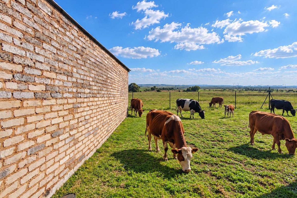 A view of the farm property featuring a long brick wall bordering a grassy pasture with grazing cattle under a clear blue sky.