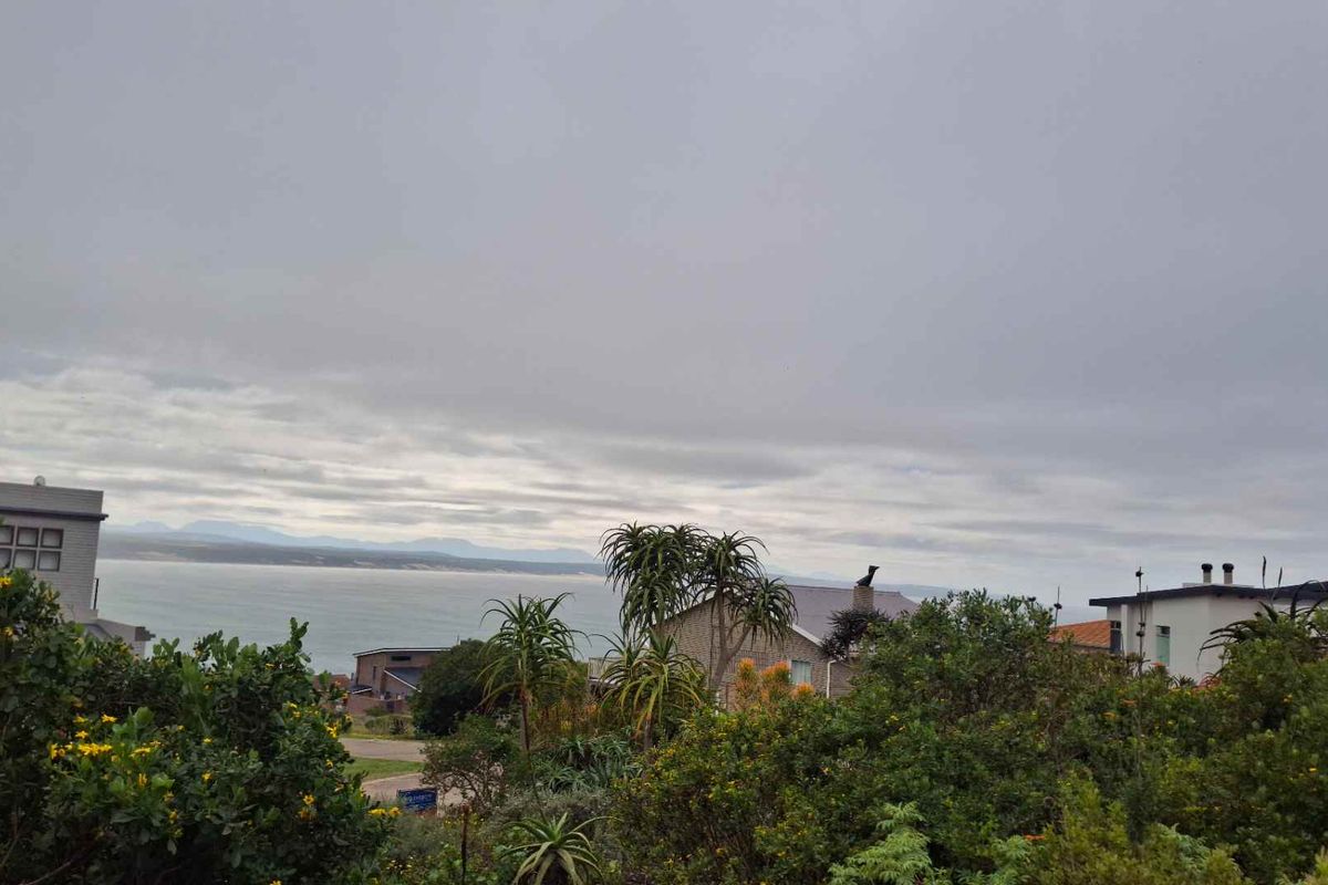 A scenic elevated view overlooking the coastline and ocean, showcasing the natural landscape and surrounding residential neighborhood.
