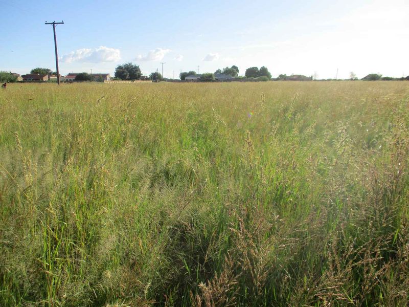 VACANT LAND IN HENLEY - Photo 4