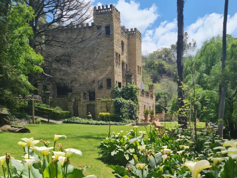 A Landmark Lifestyle Investment at the Gateway to Lesotho - Photo 2