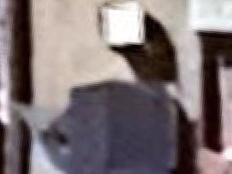 2 Bedrooms family home for sale on a massive stand - Photo 3