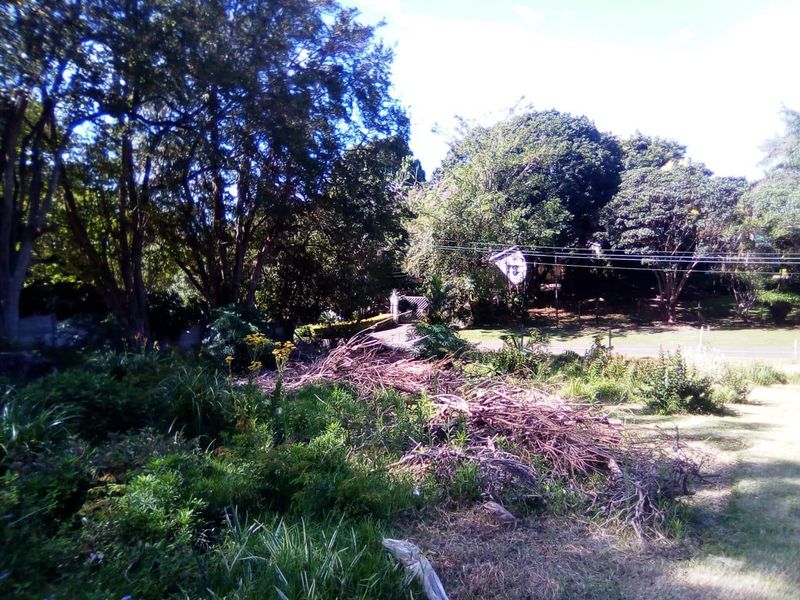 Super Find- Rare Gem of Land in WInston Park - Photo 5