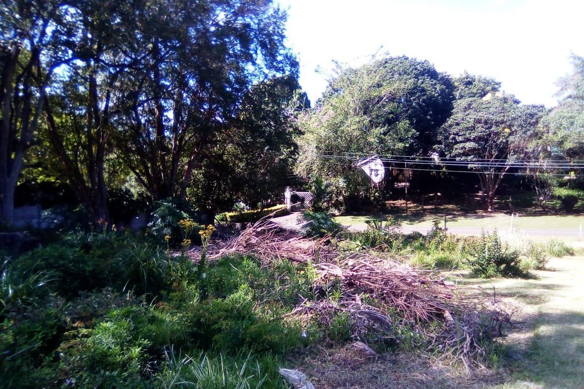 Super Find- Rare Gem of Land in WInston Park - Photo 5