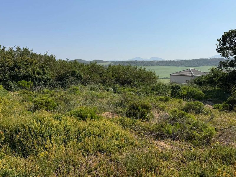 A scenic view overlooking natural vegetation and rolling hills, showcasing the expansive landscape of the vacant residential property.
