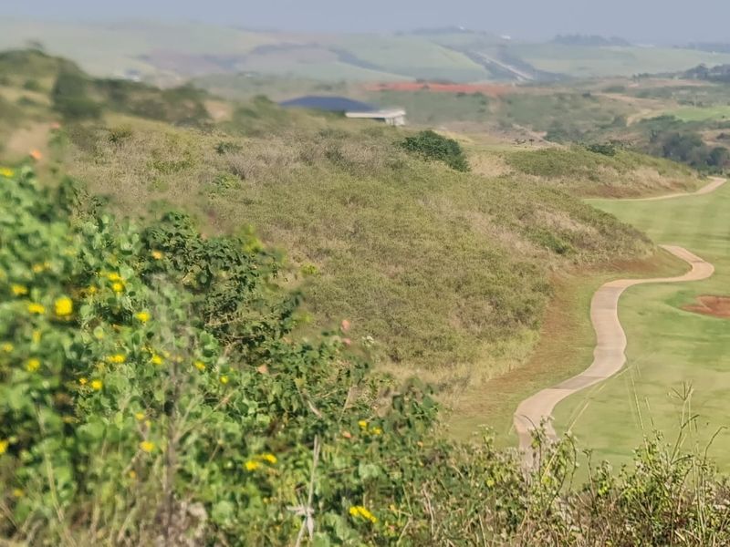 A scenic elevated view overlooking a manicured golf course with a winding paved cart path and rolling green hills in the distance.