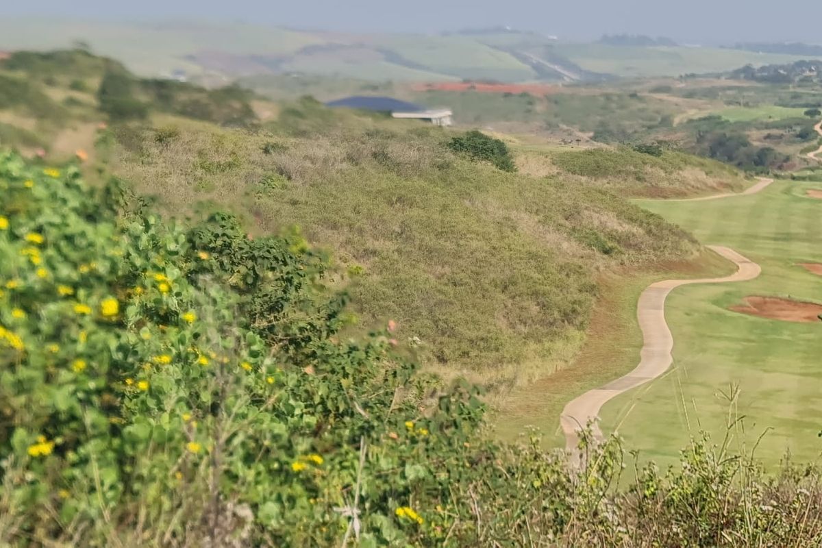 A scenic elevated view overlooking a manicured golf course with a winding paved cart path and rolling green hills in the distance.