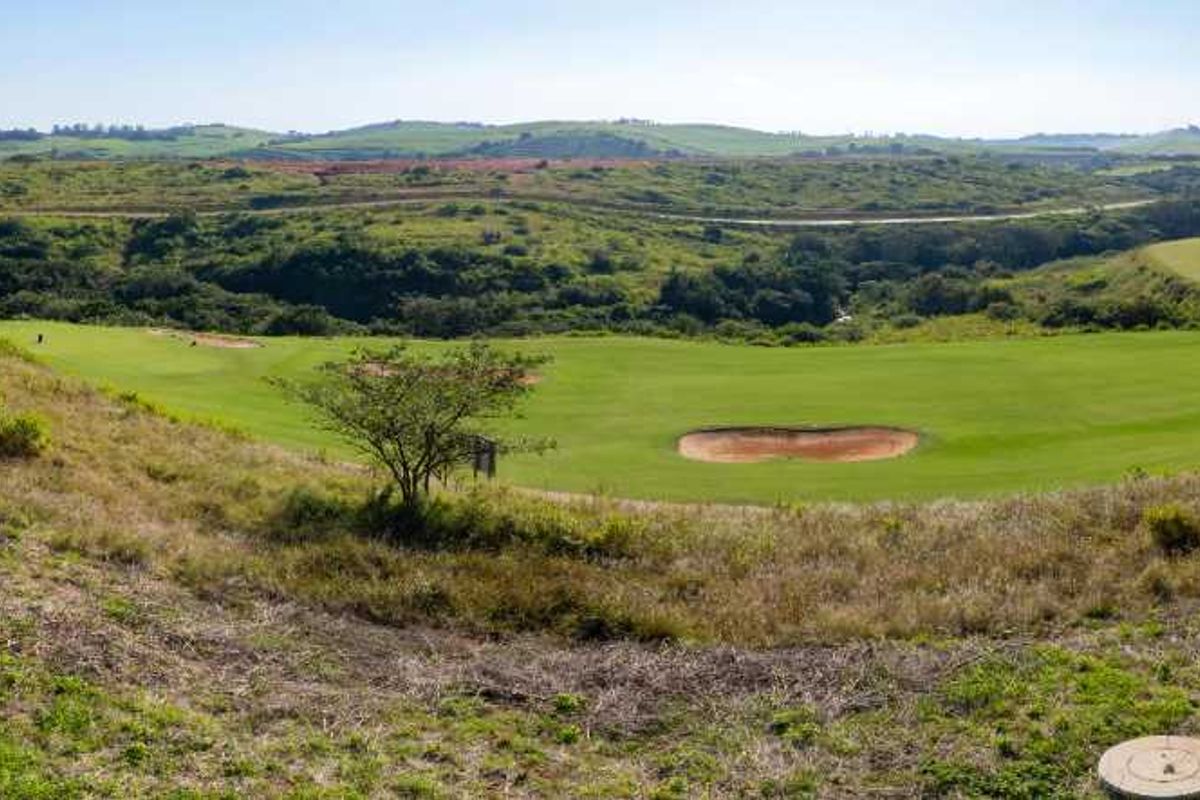 Lifestyle and Opportunity Driven - Photo 2