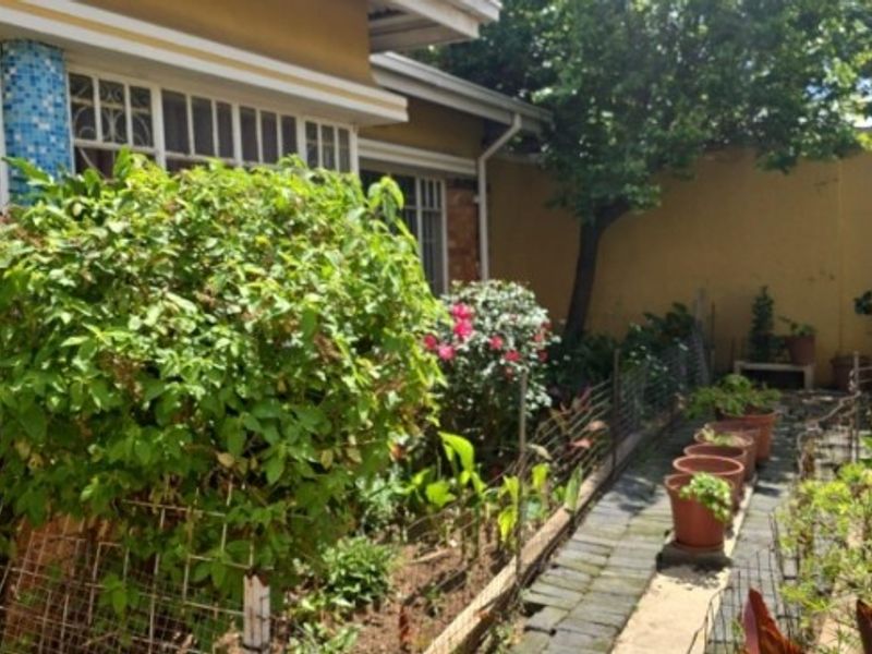 A rear garden area featuring a brick paved pathway, established greenery, and a perimeter boundary wall adjacent to the house exterior.