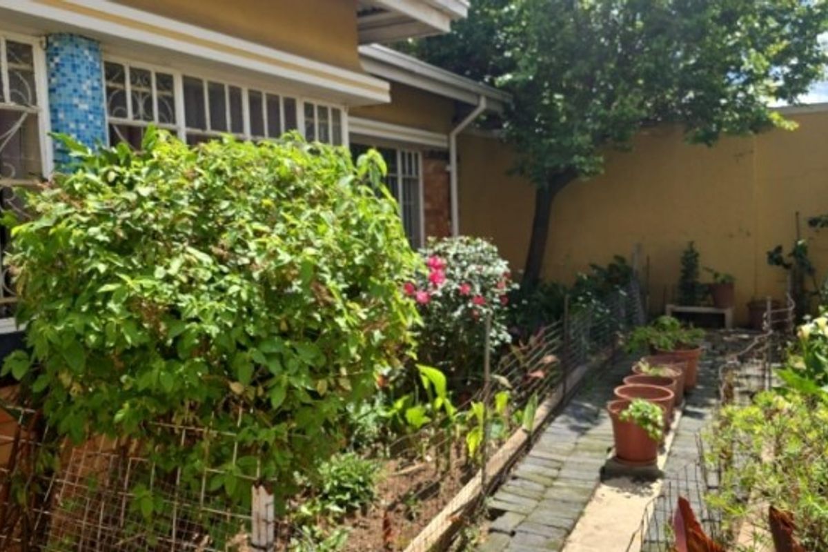 A rear garden area featuring a brick paved pathway, established greenery, and a perimeter boundary wall adjacent to the house exterior.
