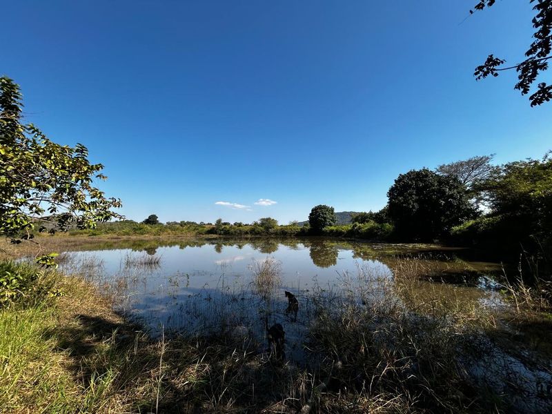 OFFERS WELCOME! Frost-Free Farm: Perfect for Farming, Lifestyle or Business Ventures - Photo 3