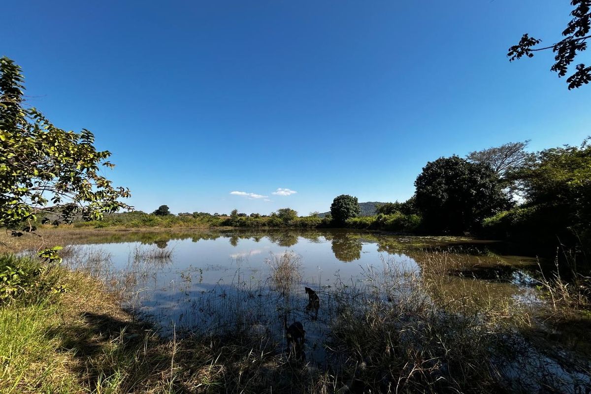 OFFERS WELCOME! Frost-Free Farm: Perfect for Farming, Lifestyle or Business Ventures - Photo 3