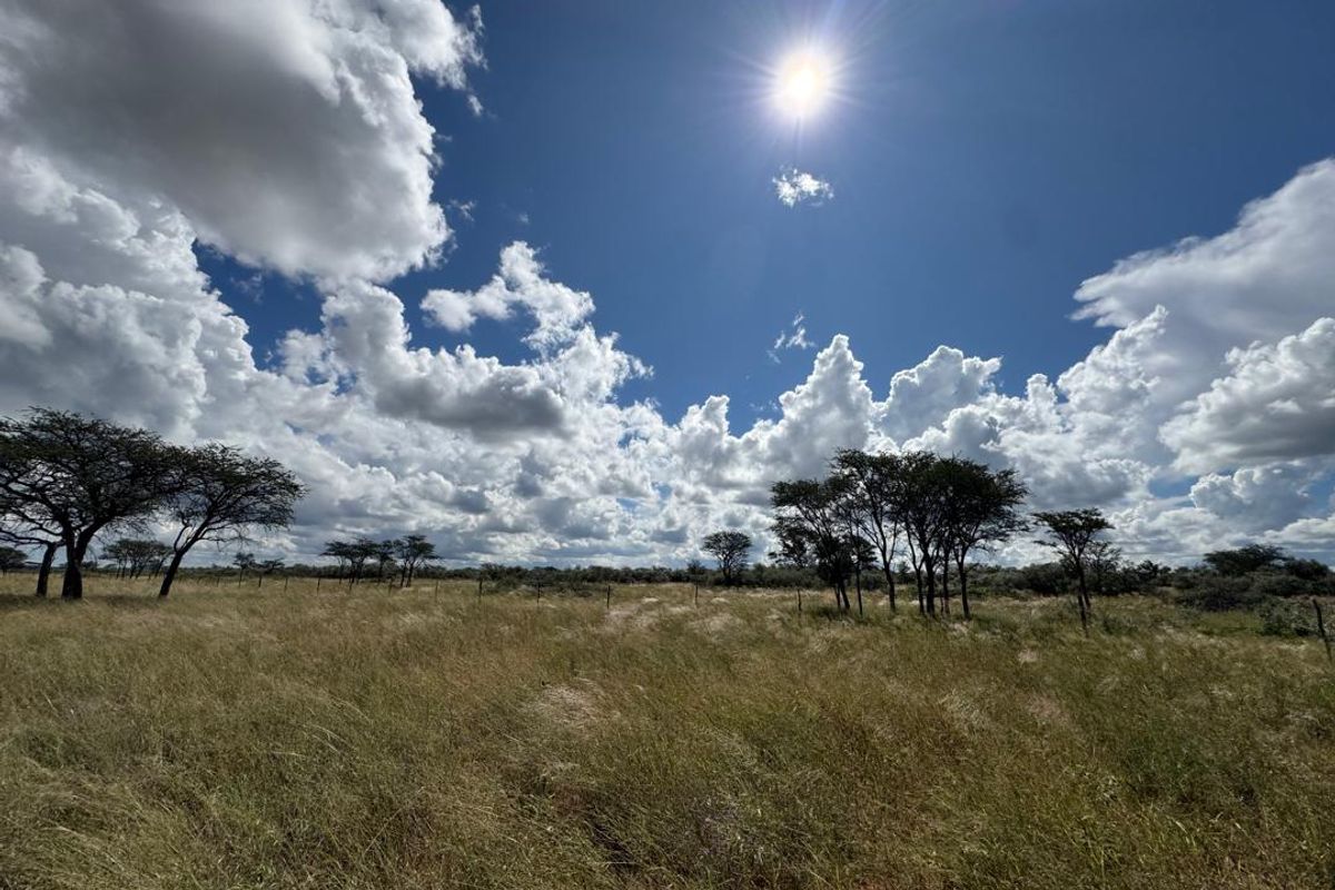 Discover this incredible 4500ha farm offering a perfect blend of modern infrastructure, abundant water resources, and rich wildlife - Photo 4