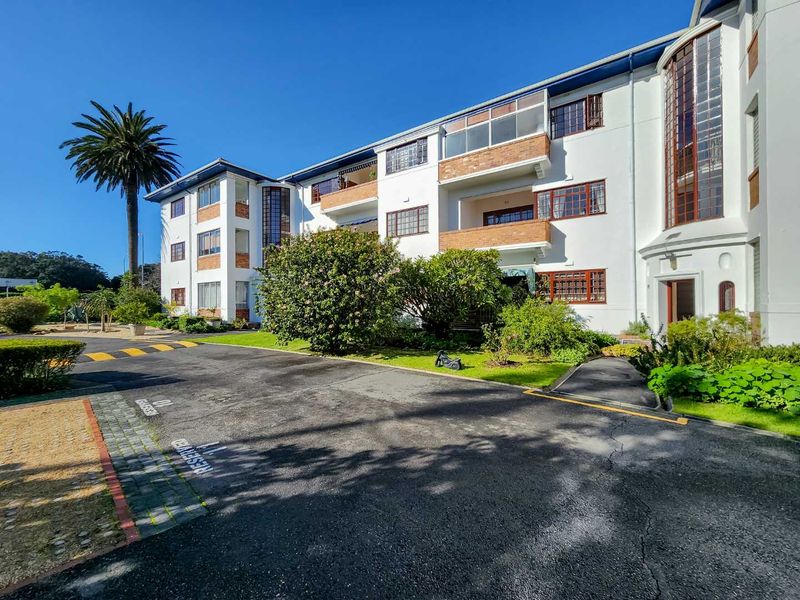 A rare find in Rondebosch - Photo 9