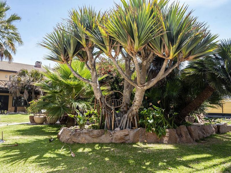 German Style Dune Border House, Garden Erf & Flat for Sale, Swakopmund Kramersdorf - Photo 5