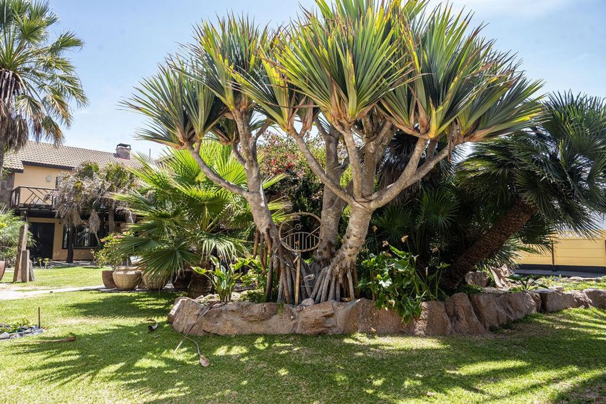 German Style Dune Border House, Garden Erf & Flat for Sale, Swakopmund Kramersdorf - Photo 5