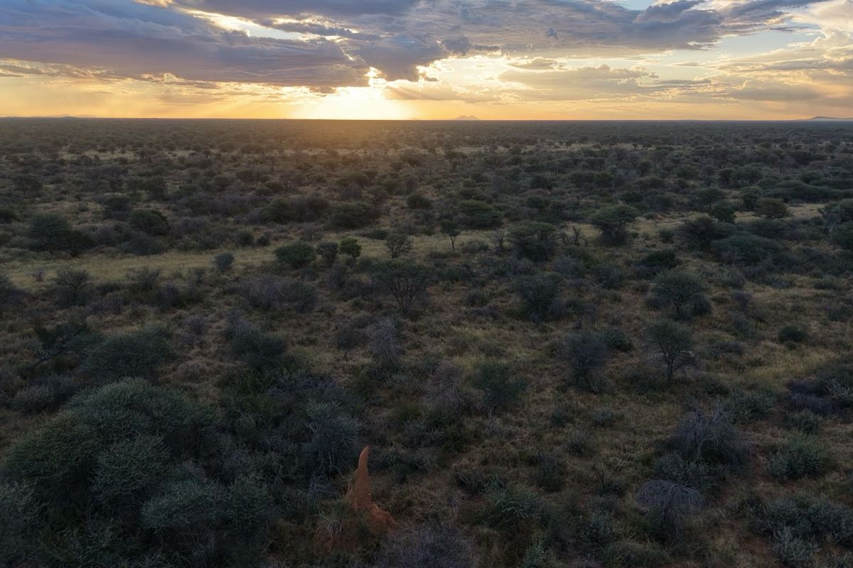 An expansive aerial view of the natural savannah landscape at sunset, showcasing the vast open terrain of the small holding.
