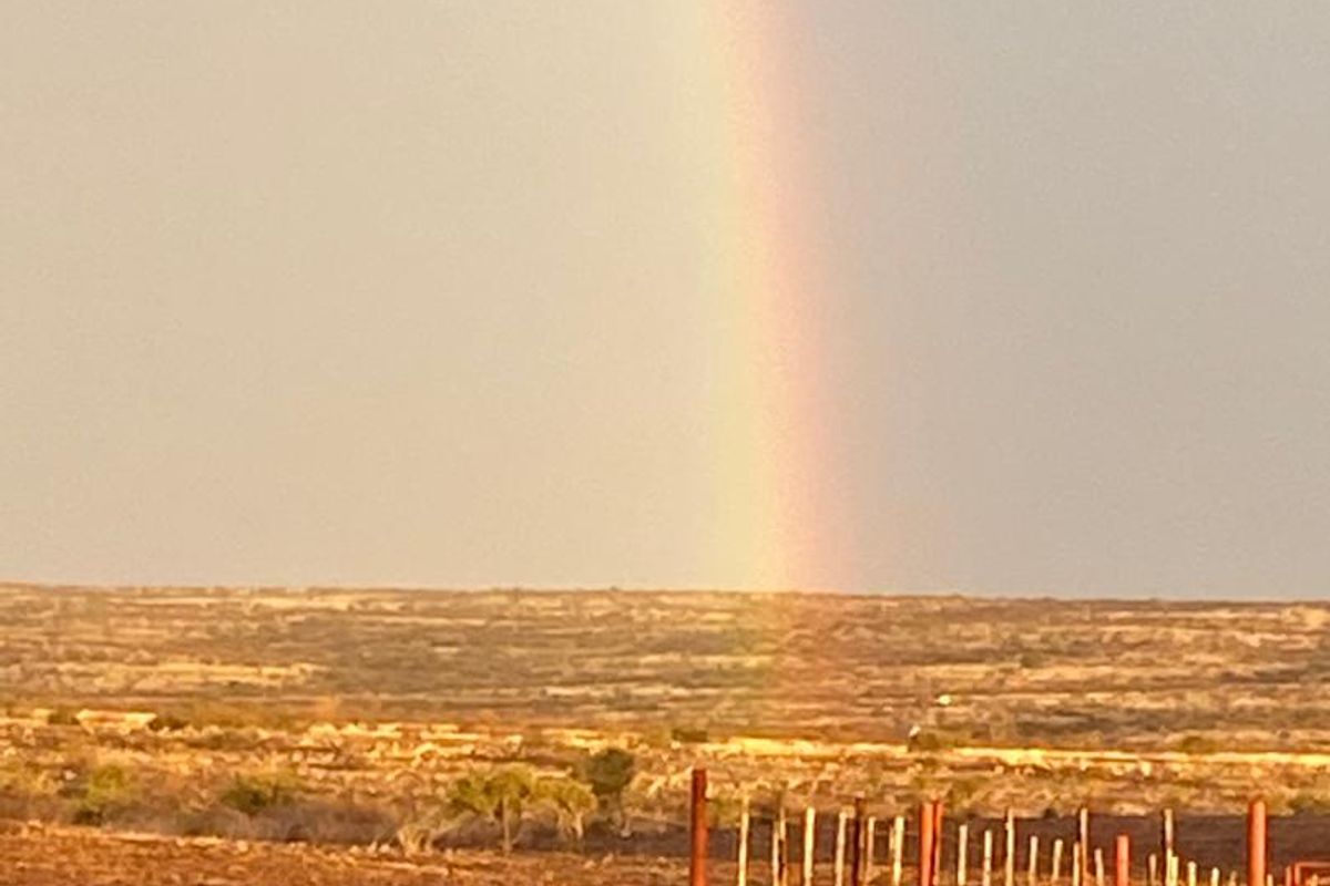 Rural Elegance: 7,749-Hectare Livestock Farm with Comprehensive Improvements - Photo 4