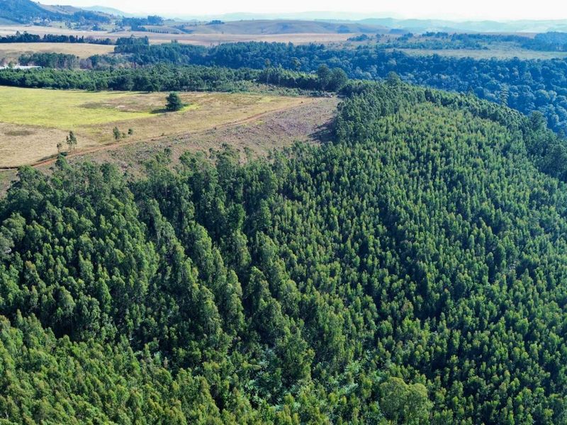 33-Hectare Vacant Land with Forest and Panoramic Views in the Midlands, Howick Rural - Photo 6
