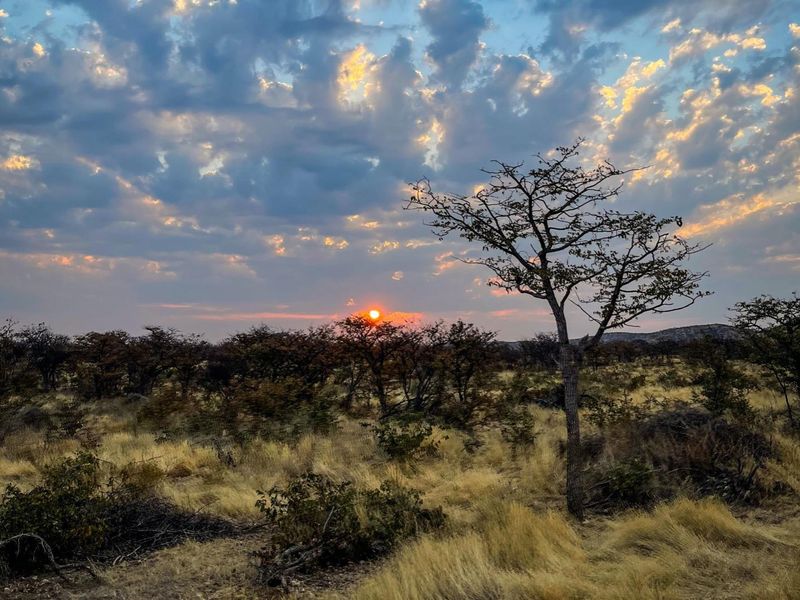 Luxury 6000ha Game Lodge & Stylish Campsite – Prime Tourism Investment! - Photo 9