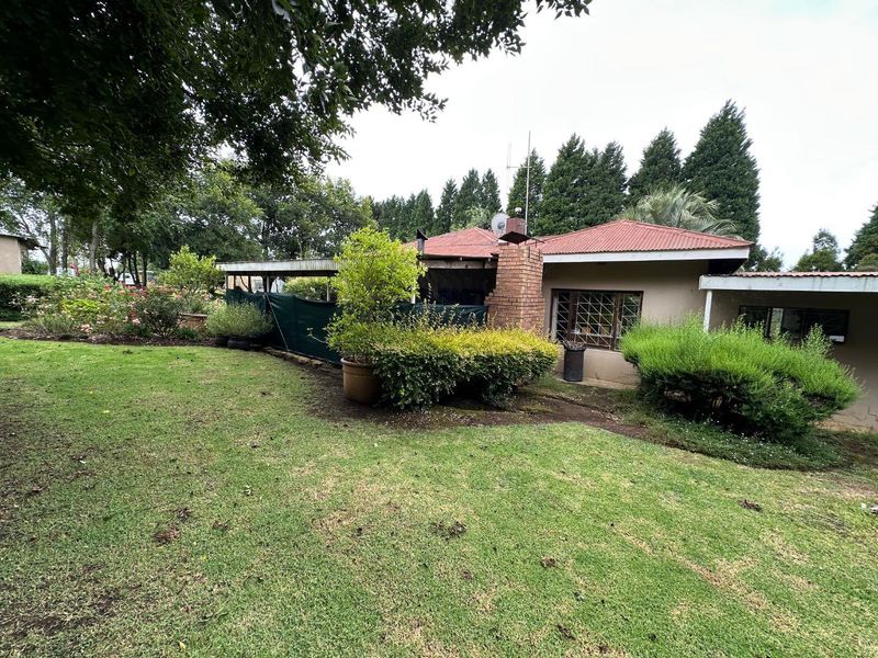 OFF-GRID INVESTMENT SMALL HOLDING – HELPMEKAAR, DUNDEE - Photo 4