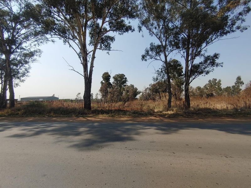 A street-level view of a vacant commercial land plot featuring mature trees and direct road access.