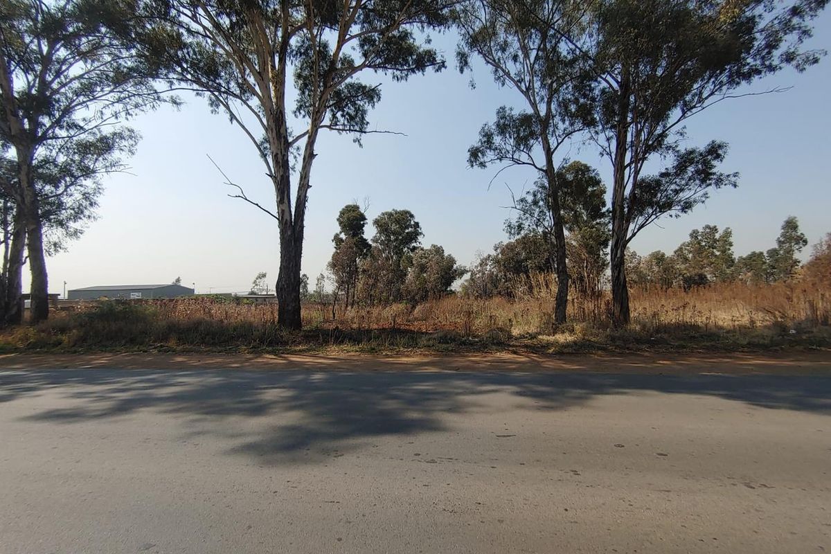 A street-level view of a vacant commercial land plot featuring mature trees and direct road access.