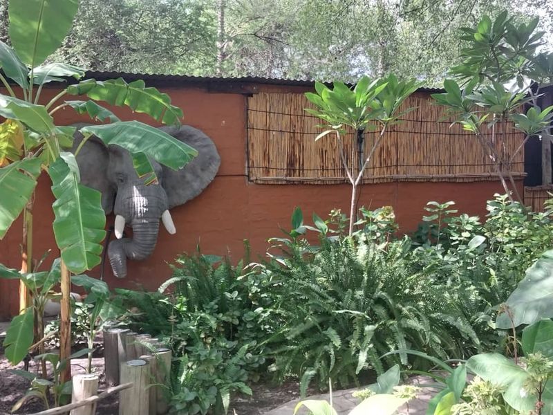 Amazing place in the Zambezi Region, Cabins and Campsite as a going concern! - Photo 5