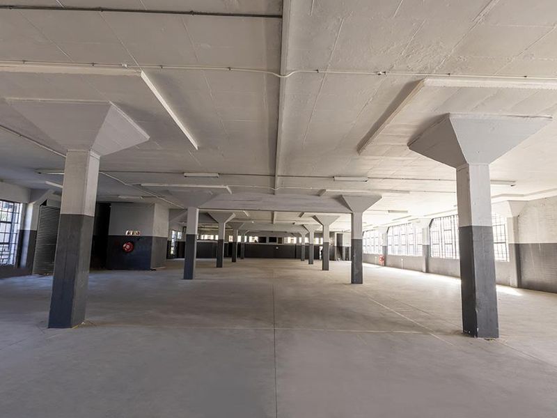 Expansive open-plan industrial warehouse space featuring high concrete ceilings, structural columns, and large steel-framed windows providing ample natural light.