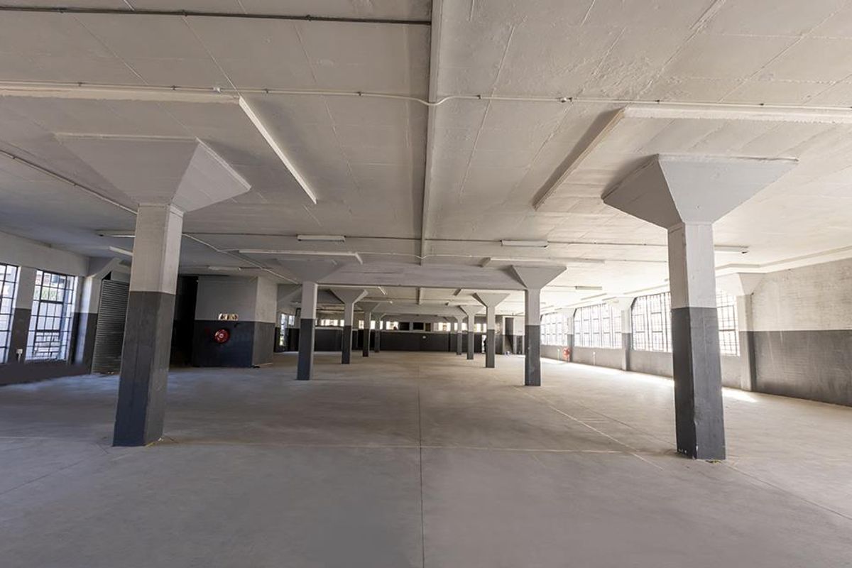 Expansive open-plan industrial warehouse space featuring high concrete ceilings, structural columns, and large steel-framed windows providing ample natural light.