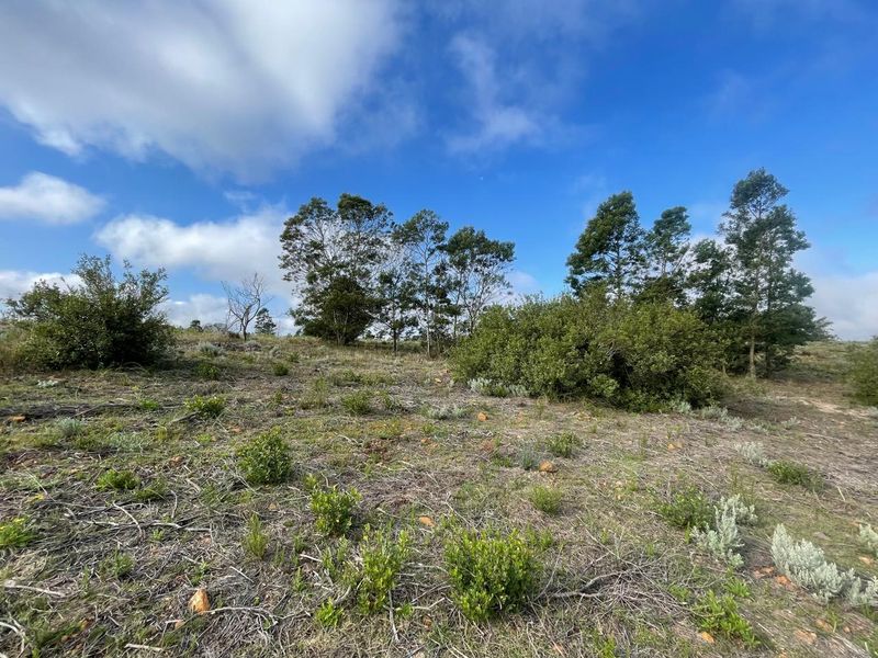 Exclusive 300 m2 Vacant Stand in Gondwana Big Five Game Reserve - Photo 3